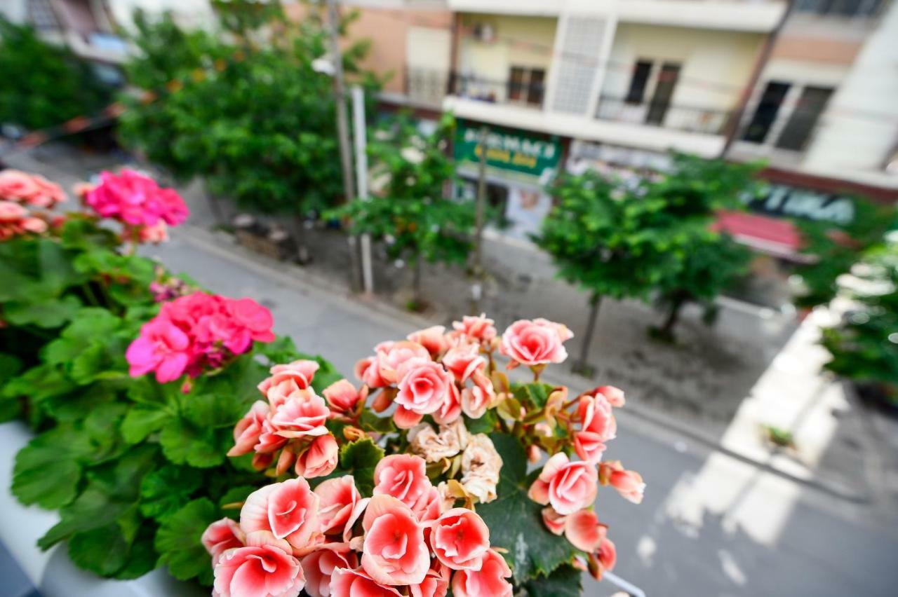 Niku 3* Tirana